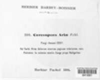 Passalora ariae image